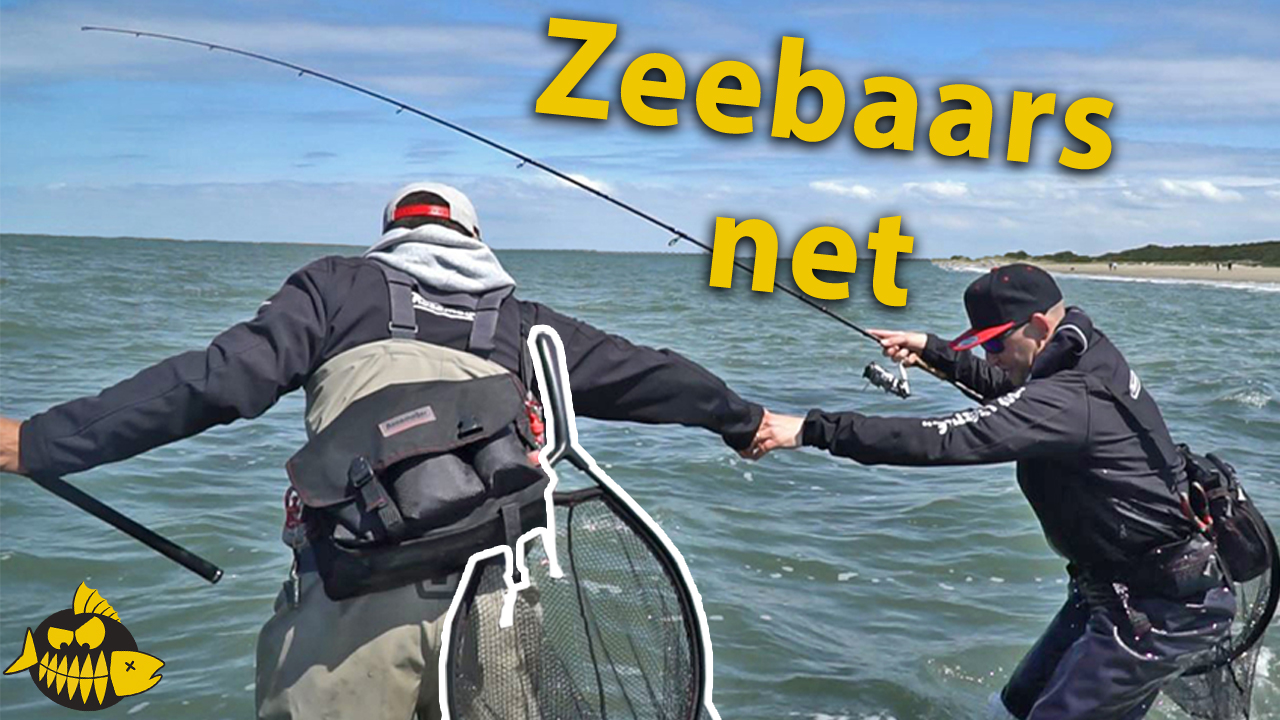 Must have net voor tijdens het vissen op zeebaars