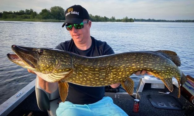 Roofmeister INSIDE – Terugblik Fish Challenge & 20 actuele roofvis vangsten