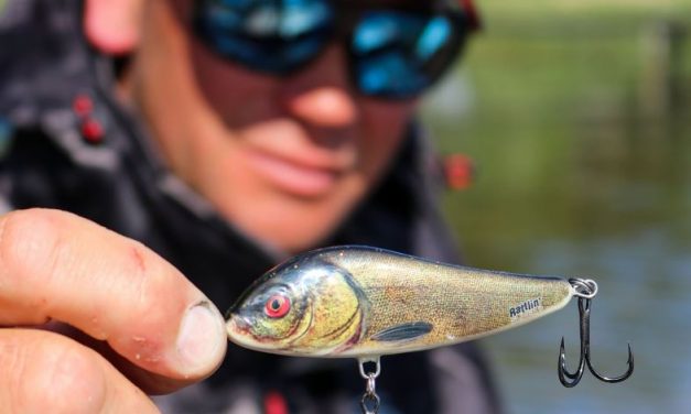 Wout aan de bril, een verbeterde Salmo classic & wegwerp fishfinders