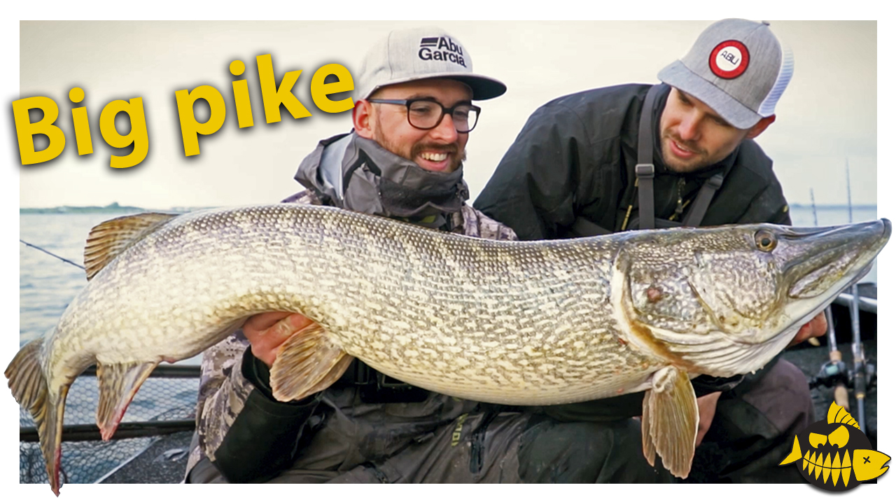 Aanbeet & vangst van 128 cm snoek live op video – Groot water, XXL Esox