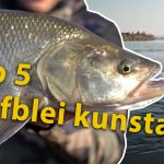 Top 5 kunstaas voor roofblei – Expert Leon Haenen met zijn favo’s