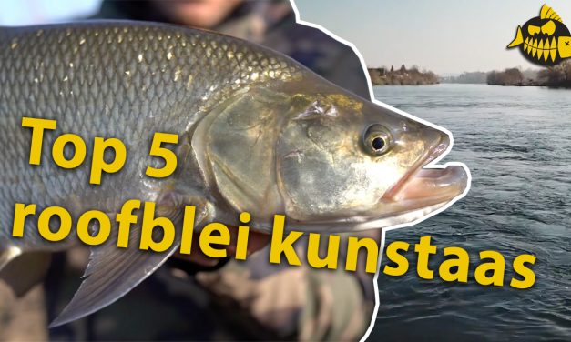 Top 5 kunstaas voor roofblei – Expert Leon Haenen met zijn favo’s