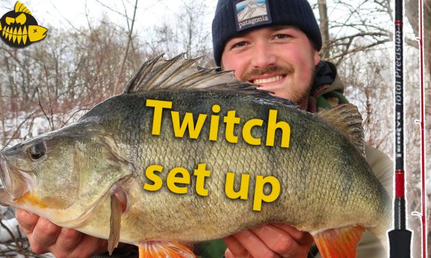 Super de luxe hengel voor twitchbaits –  Set up voor grote baars