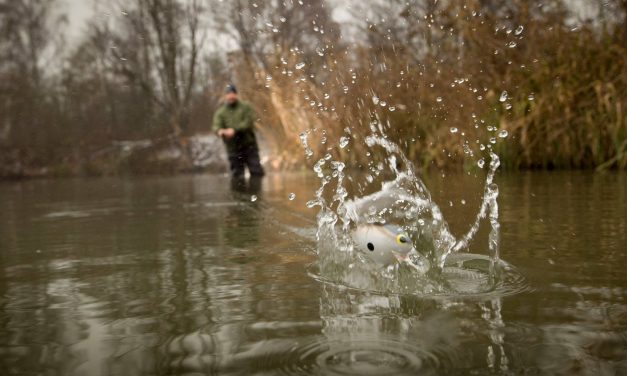Stage lopen bij Shimano – Unieke kans!