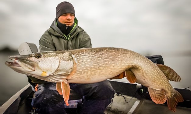 Verticaal vissen op grote snoek – Zware loodkoppen & grote shads