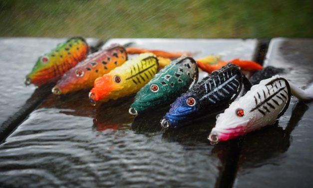 Vangen in het oppervlak met eenden, kikkers, poppers en stickbaits