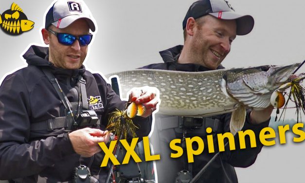 XXL Spinners killing voor grote snoek – Zo vis je ze