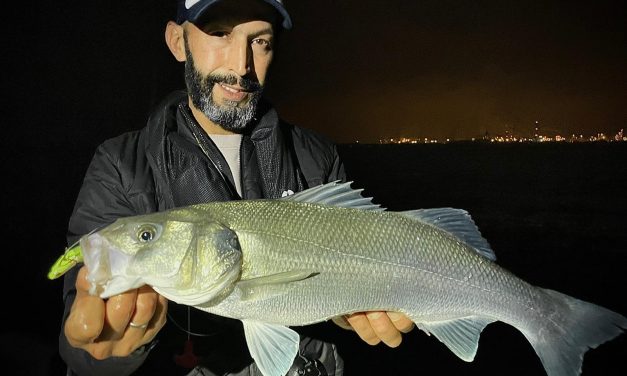 JJ Minnow, Miuras Mouse, BKK en veel meer bij Wout in Vlaardingen