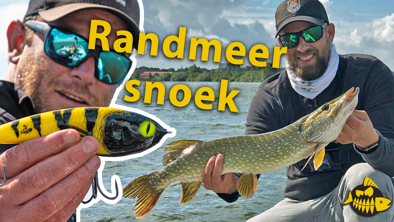 ***Roofmeister VIDEO*** WIN deze EXCLUSIEVE RM jerkbait – Werpen op de Randmeren