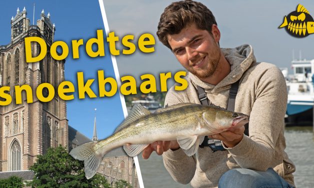 ***Roofmeister VIDEO*** Zo zoekt Luc de Groot goede kantstekken voor snoekbaars – Streetfishing Dordrecht