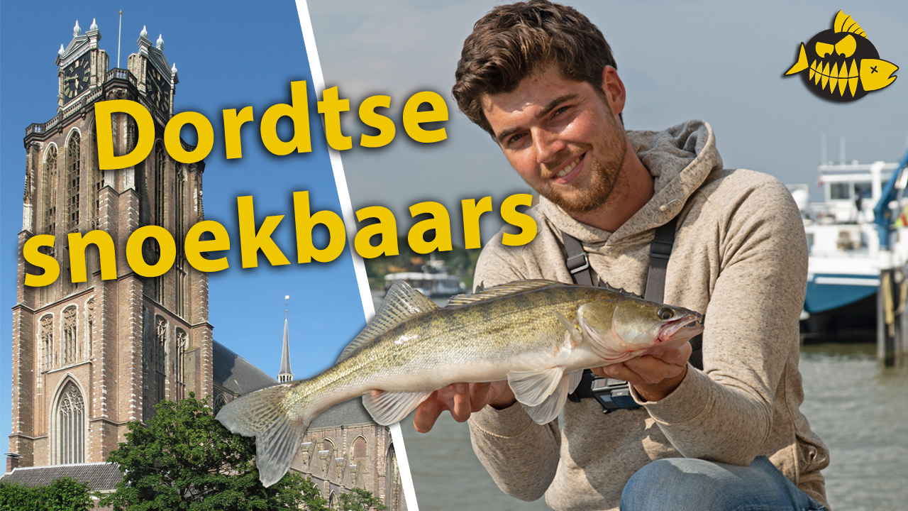 ***Roofmeister VIDEO*** Zo zoekt Luc de Groot goede kantstekken voor snoekbaars – Streetfishing Dordrecht