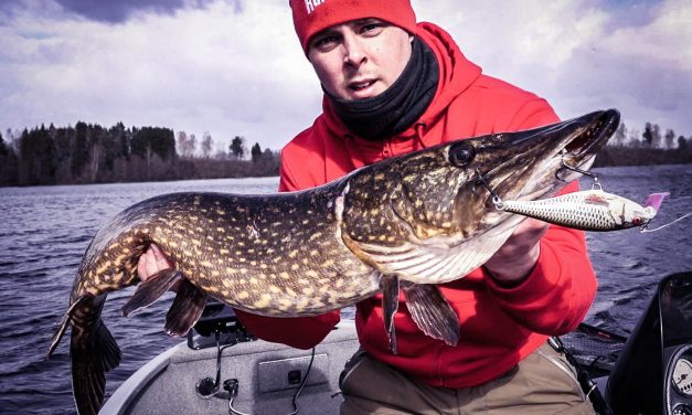 Droombaan bij Rapala