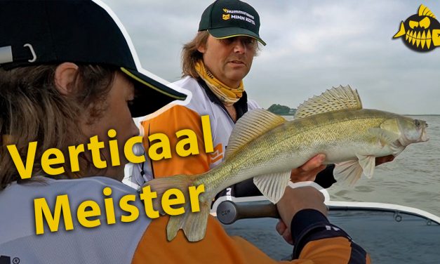 ***Roofmeister VIDEO*** Tips & tricks van snoekbaars baas Robbert Poelwijk – Verticalen op de rivier