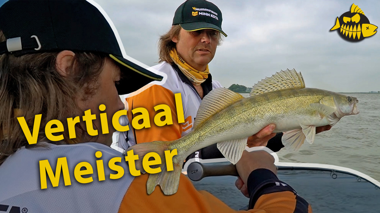 ***Roofmeister VIDEO*** Tips & tricks van snoekbaars baas Robbert Poelwijk – Verticalen op de rivier