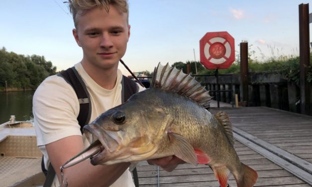 De ondieptes op de rivier bevissen met twitchbaits – Robert Mastbergen