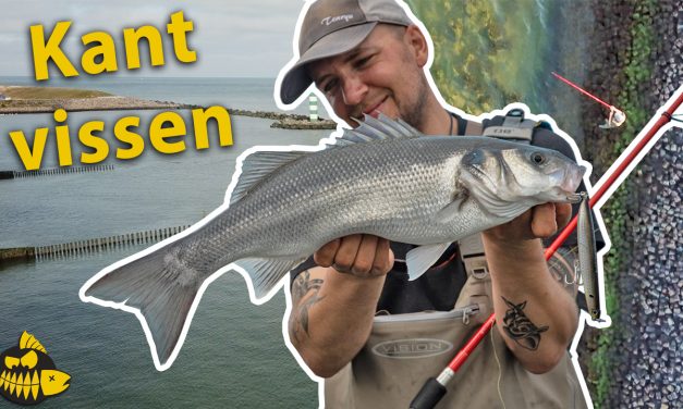 ***Roofmeister VIDEO*** De zeebaars STEKKEN in de Europoort – ALLES over kantvissen