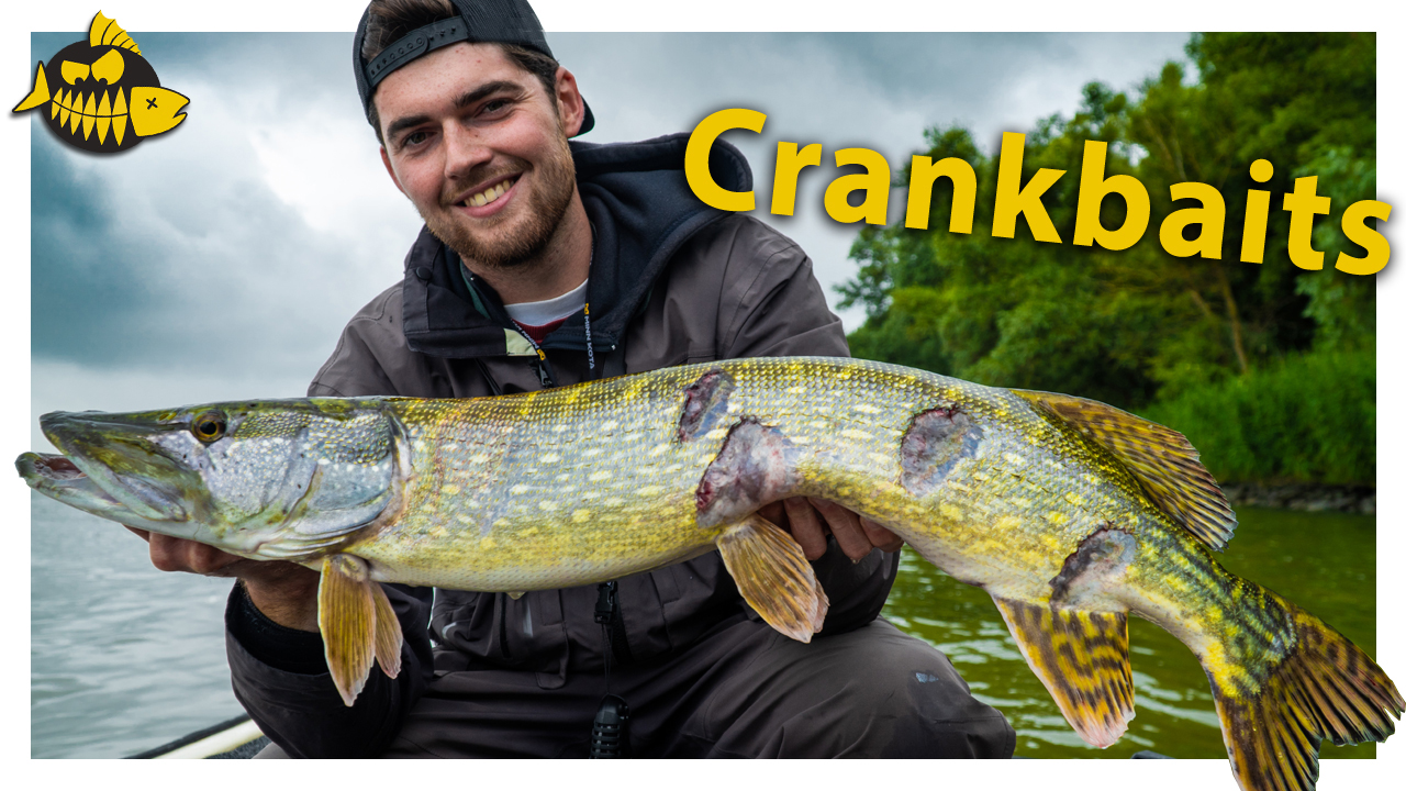 ***Roofmeister VIDEO*** Wat maakt CRANKBAITS zo succesvol?