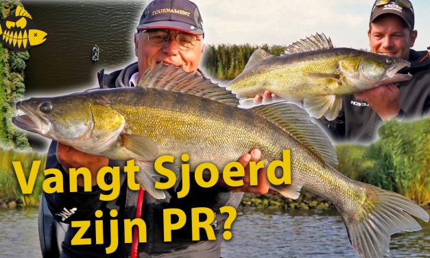 ***Roofmeister VIDEO*** We vangen MEGA SNOEKBAARZEN – Zo vind en vang je zelf