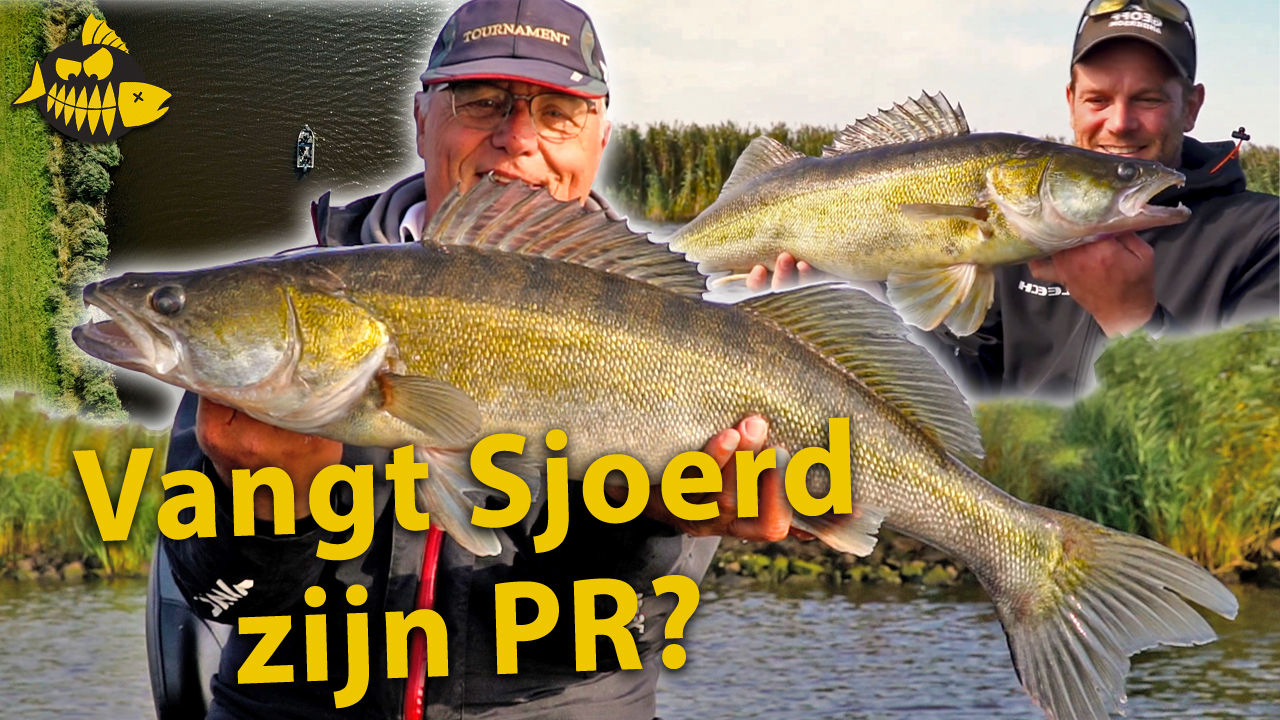 ***Roofmeister VIDEO*** We vangen MEGA SNOEKBAARZEN – Zo vind en vang je zelf
