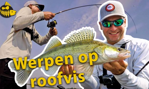 ***VIDEO*** Zo werpt TOPVISSER Jeremy Staverman met shads op roofvis-  Alle INS & OUTS