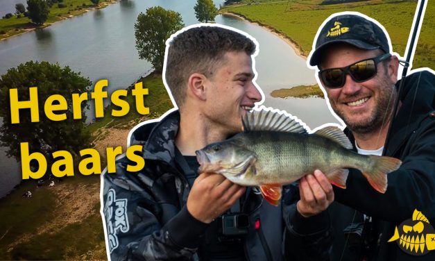 ***Roofmeister VIDEO*** Waar kun je nu GROTE BAARS vangen? TIPS & TRICKS van Thijs van den Acker