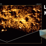 Real time het gedrag van roofvis zien met de Humminbird MEGA Live