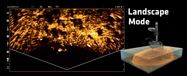 Real time het gedrag van roofvis zien met de Humminbird MEGA Live