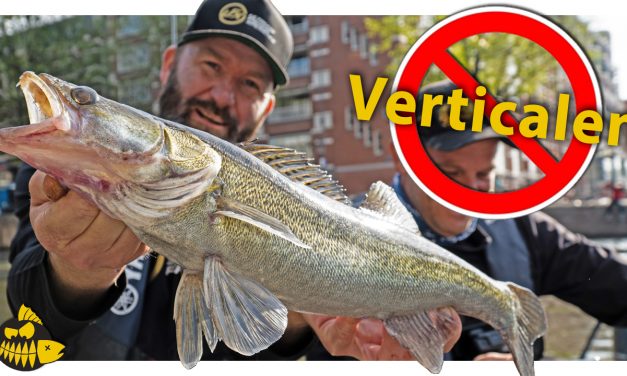 ***Roofmeister VIDEO*** CHALLENGE: Vangen we met elk kunstaas? Streetfishing Amsterdam met Juul Steyn