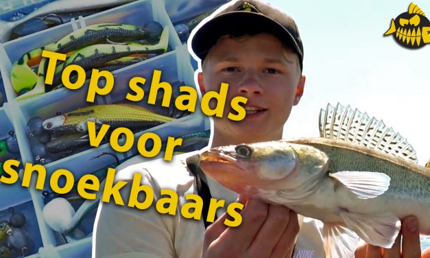 VIDEO: Top 3 shads voor snoekbaars – Robert Mastbergen van Wesdijk
