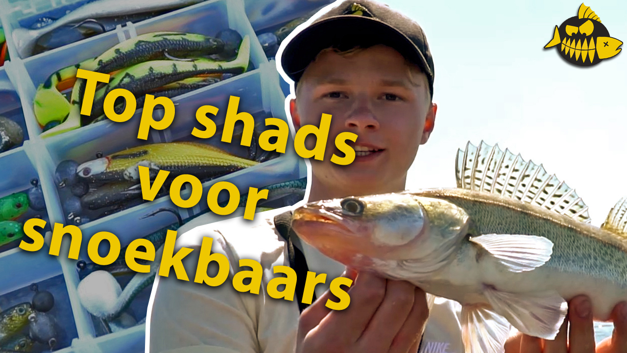 VIDEO: Top 3 shads voor snoekbaars – Robert Mastbergen van Wesdijk