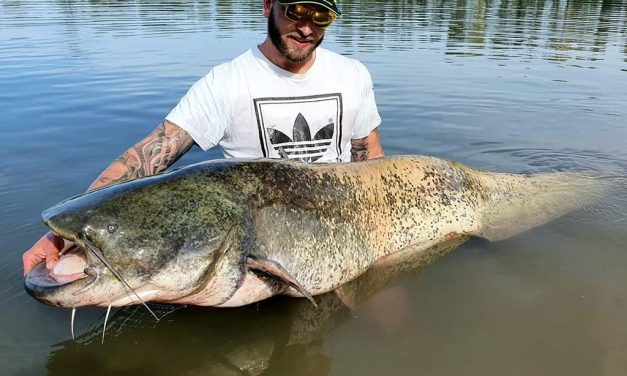 Superrrrr tips van bellyboat pro’s – NIEUWE website Float Plus