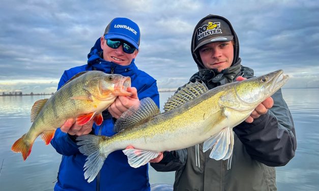 Geheim wapen – Met de Ned rig vang je die passieve baars en snoekbaars WEL!