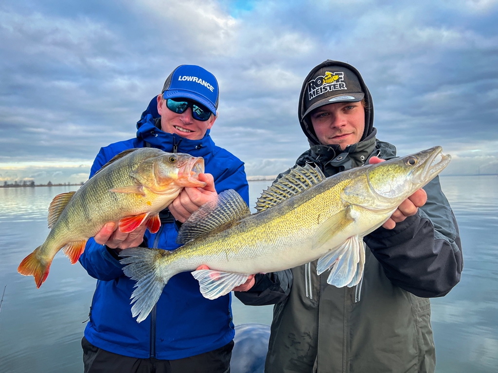 Geheim wapen – Met de Ned rig vang je die passieve baars en snoekbaars WEL!