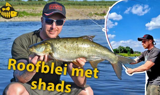***VIDEO*** Kantvissen op ROOFBLEI op de GRENSMAAS – Zo doe je dat en dit heb je nodig
