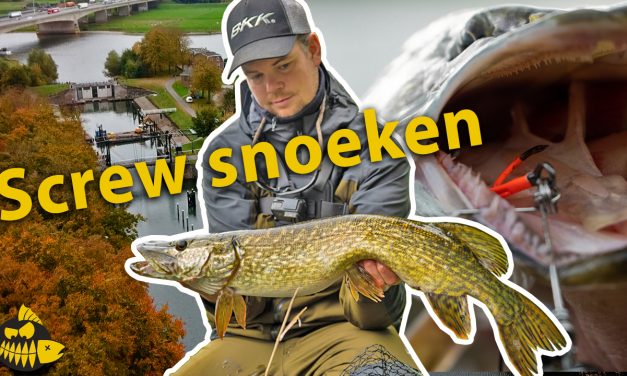 ***Roofmeister VIDEO*** Het systeem voor het riggen van GROTE SHADS – KANTVISSEN op snoek in de herfst