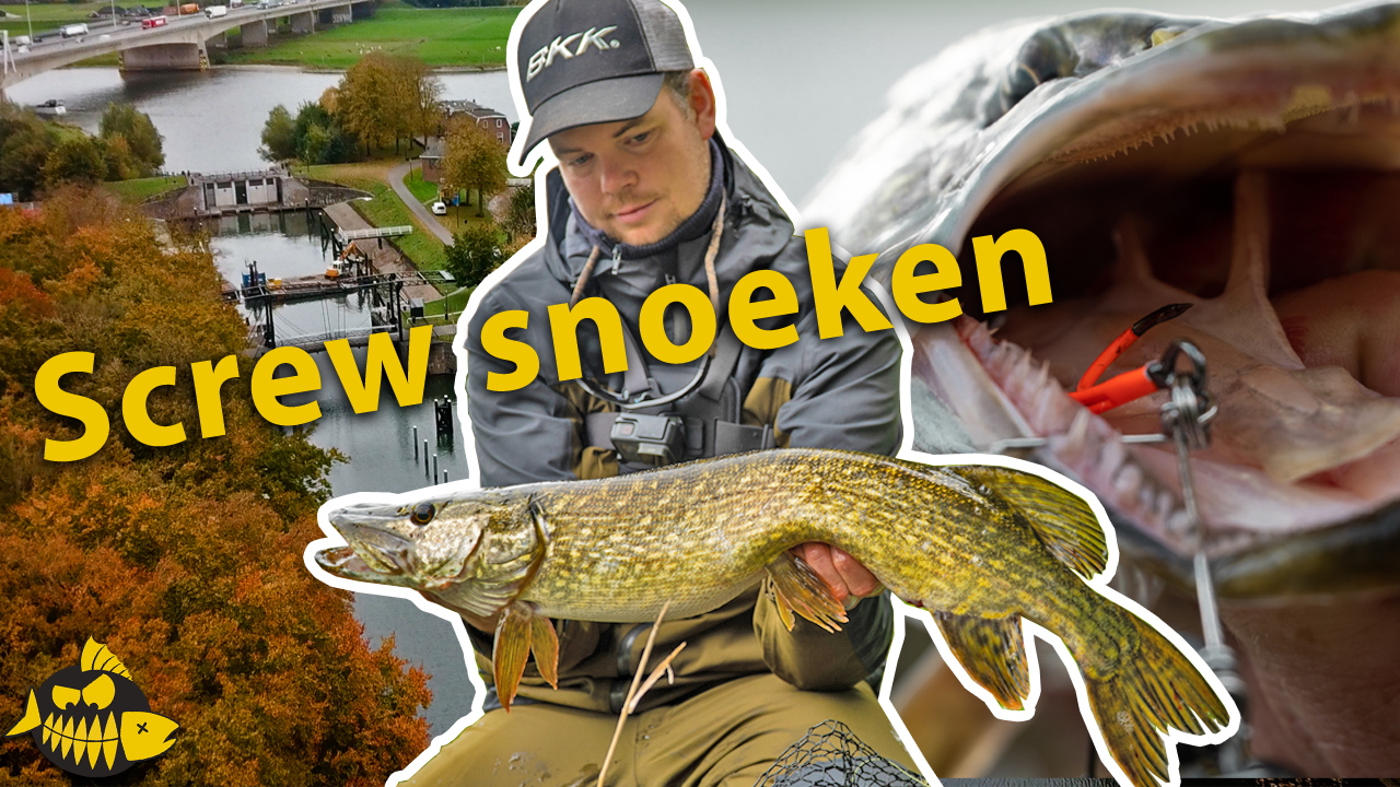 ***Roofmeister VIDEO*** Het systeem voor het riggen van GROTE SHADS – KANTVISSEN op snoek in de herfst