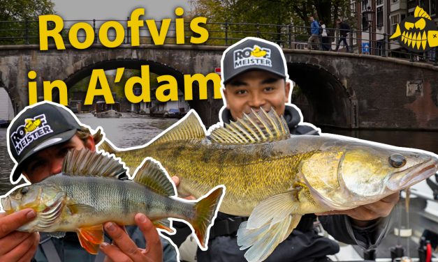 ***VIDEO*** De TOPSTEKKEN in AMSTERDAM van Freshy – Vol in de vis met een MEGA snoekbaars
