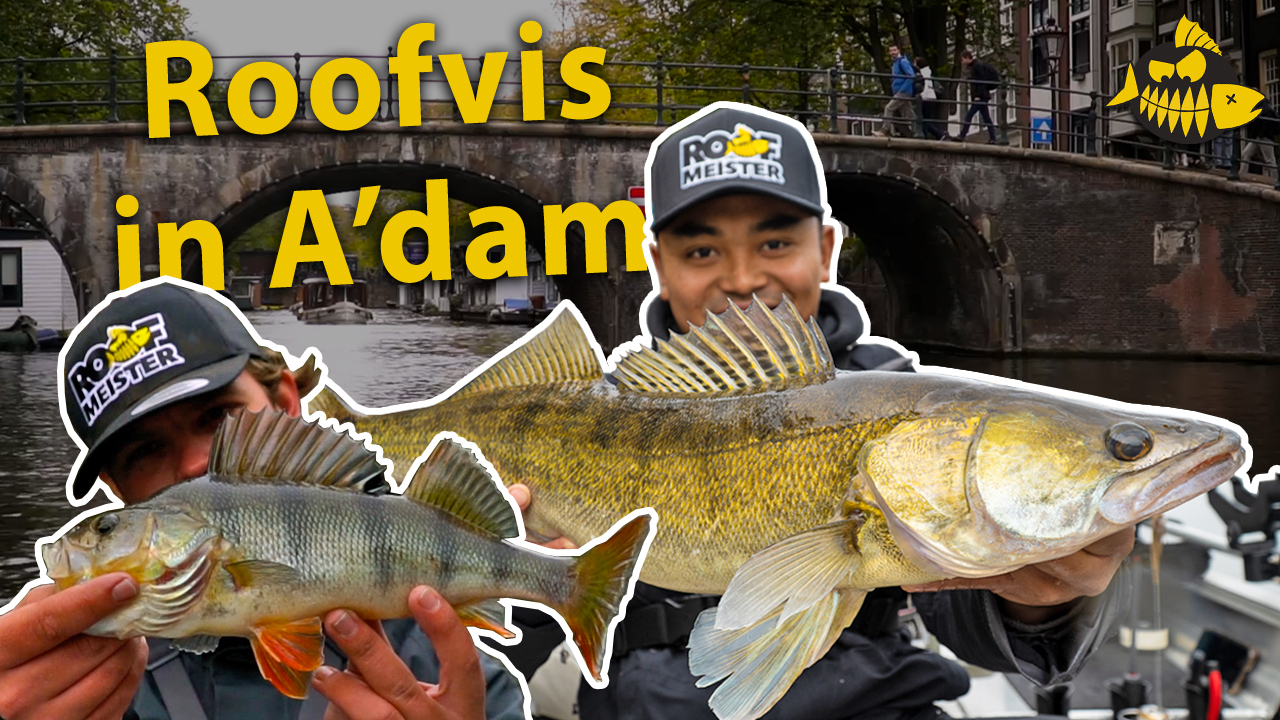 ***VIDEO*** De TOPSTEKKEN in AMSTERDAM van Freshy – Vol in de vis met een MEGA snoekbaars