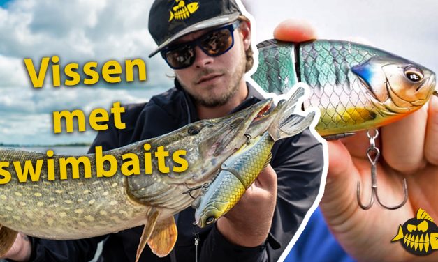 ***VIDEO*** De kracht van een goede swimbait & Jan Boomsma over zijn hengel set up