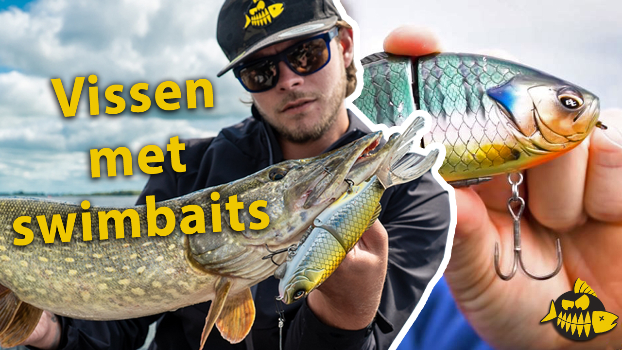 ***VIDEO*** De kracht van een goede swimbait & Jan Boomsma over zijn hengel set up