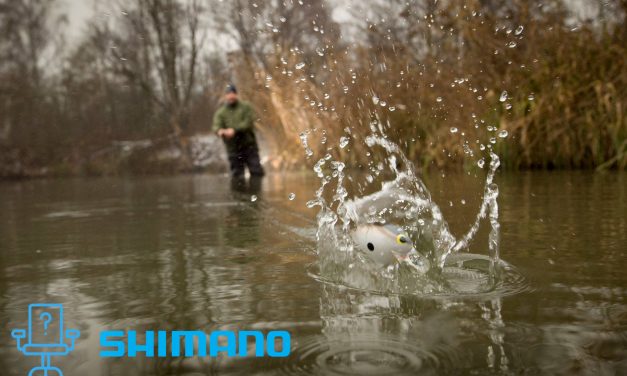 Studenten opgelet! DROOMSTAGE bij Shimano