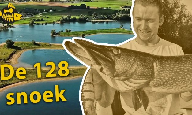 ***VIDEO*** De snoek van 128 cm – Een weerzien met het monster van Maurik?