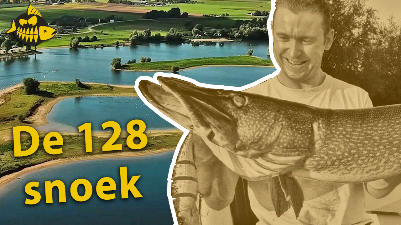 ***VIDEO*** De snoek van 128 cm – Een weerzien met het monster van Maurik?