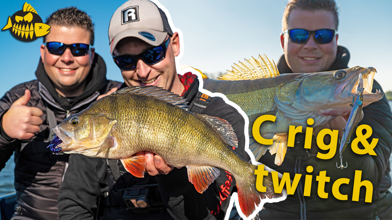 ***VIDEO*** Met TWITCHBAITS en de CAROLINA RIG op snoekbaars en baars