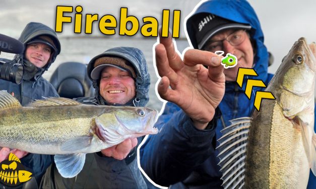 ***VIDEO*** Alles over de fireball – EXPERIMENT: Dood aas VS kunstaas