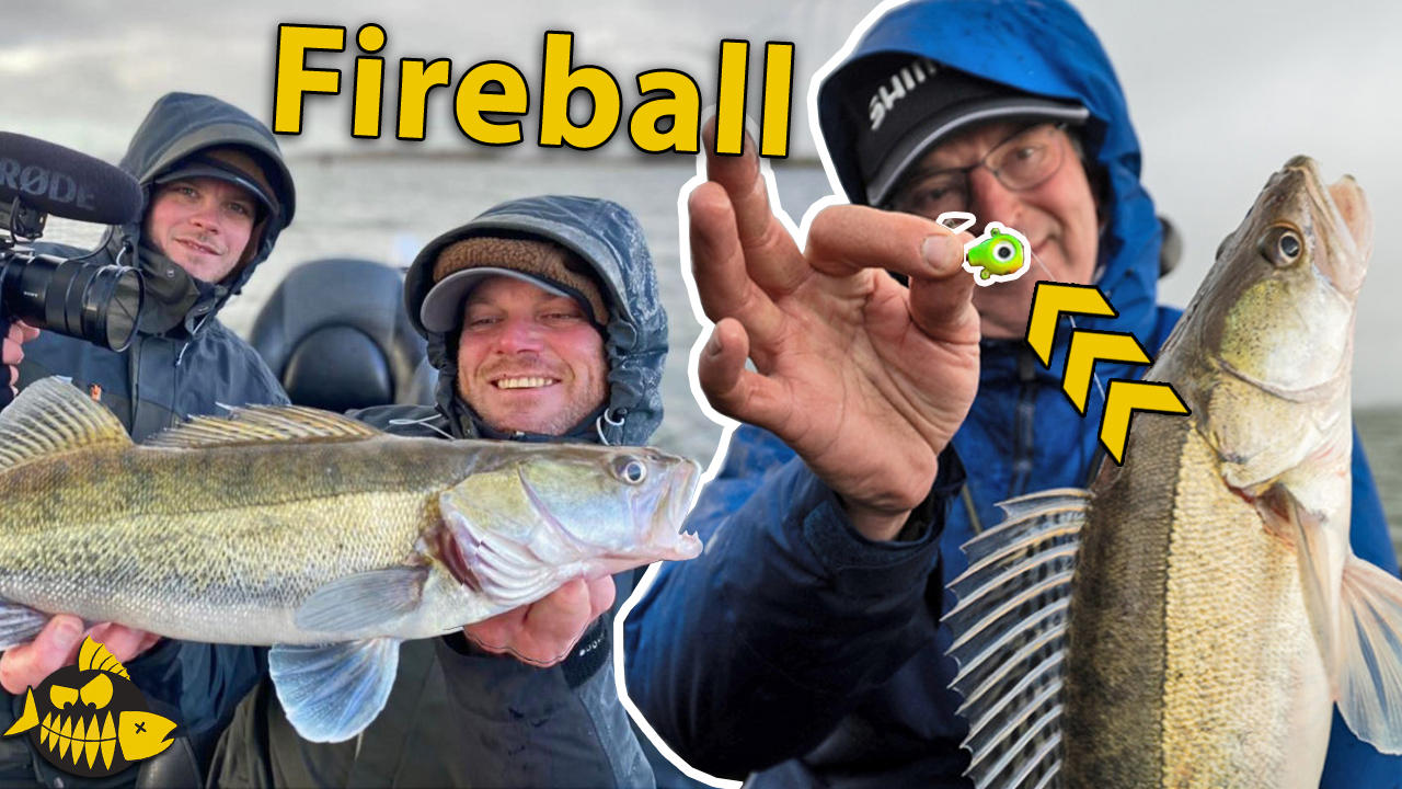 ***VIDEO*** Alles over de fireball – EXPERIMENT: Dood aas VS kunstaas