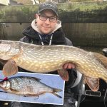 De FIREBALL – De meest EFFECTIEVE vistechniek NU