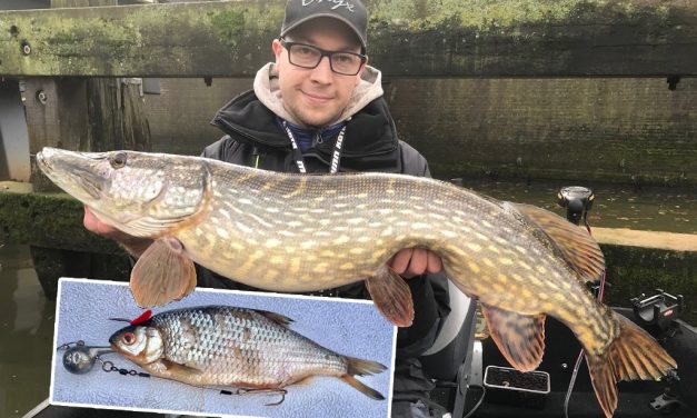 De FIREBALL – De meest EFFECTIEVE vistechniek NU