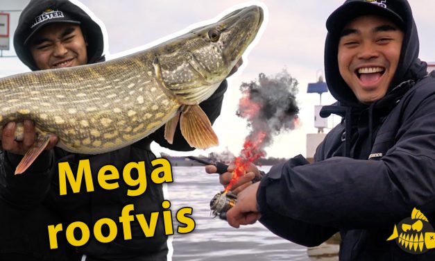 ***VIDEO*** Freshy vangt MEGA SNOEK down town AMSTERDAM