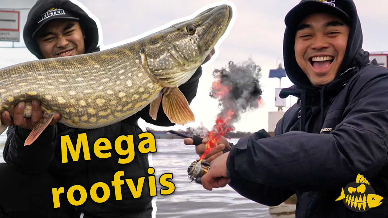 ***VIDEO*** Freshy vangt MEGA SNOEK down town AMSTERDAM